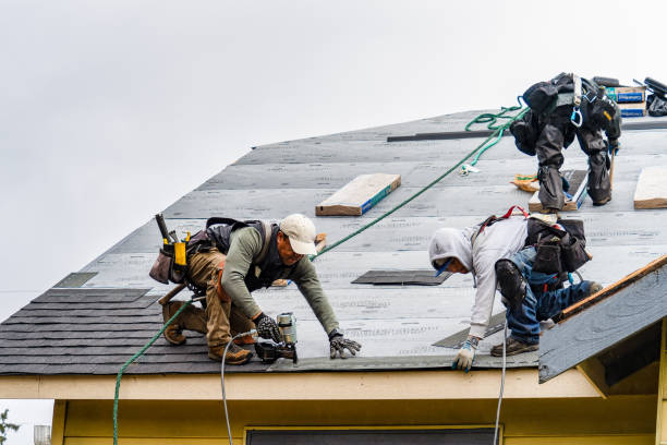 Professional Gutter Installation technician working in Richmond, MN
